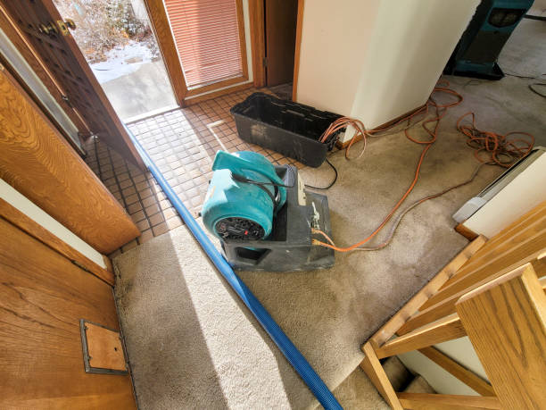 Comprehensive Water Damage Solutions in Cypress